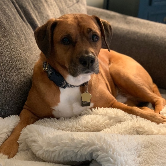 Meet your Posher, Denyelle - Picture 1 of 1